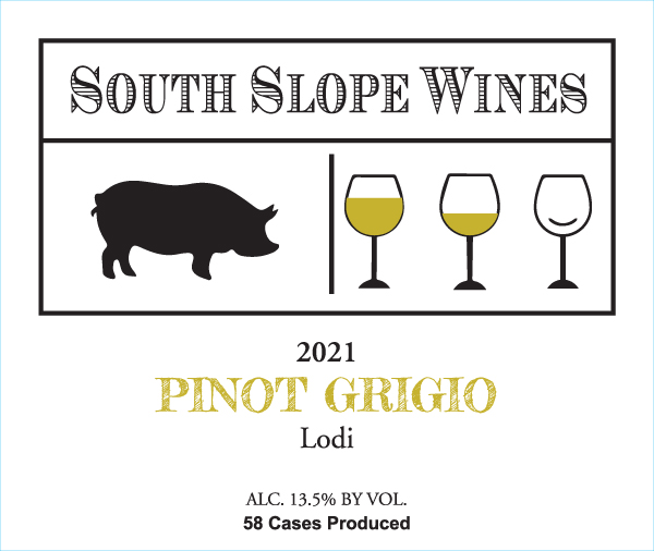 Product Image for 2021 Pinot Grigio Bottle